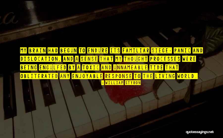 William Styron Quotes 2114701 William Styron Quotes 2114701