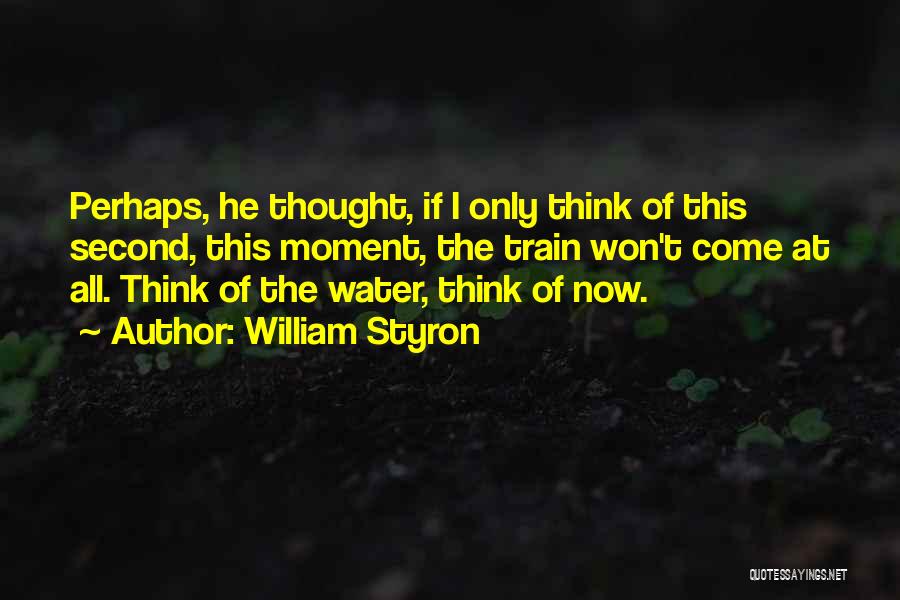 William Styron Quotes 266969