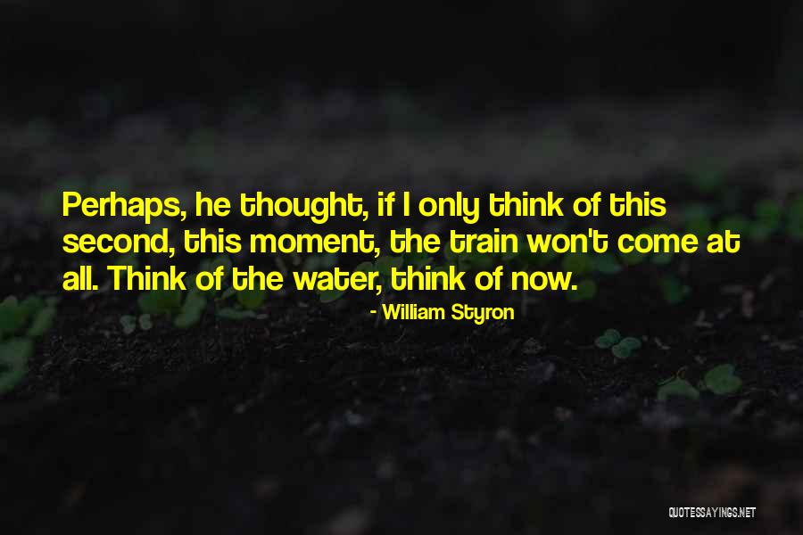 William Styron Quotes 266969