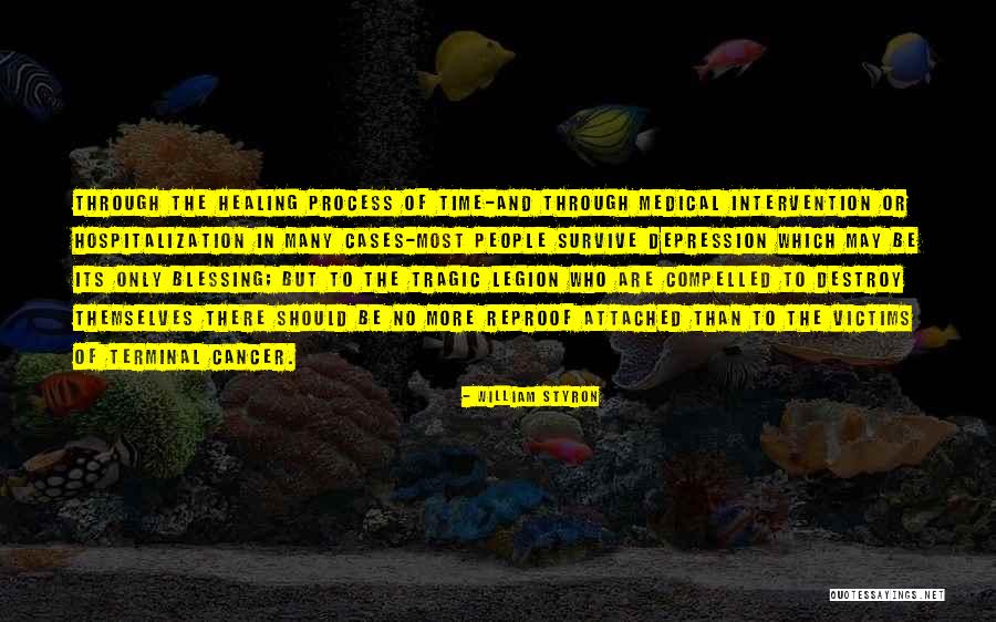 William Styron Quotes 994481 William Styron Quotes 994481