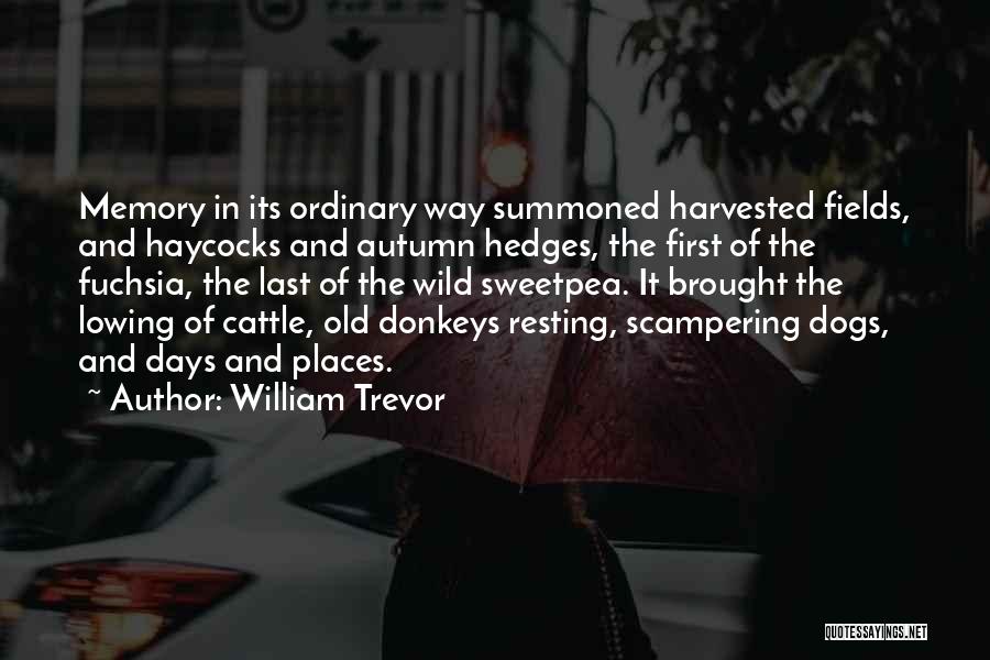 William Trevor Quotes 1690181