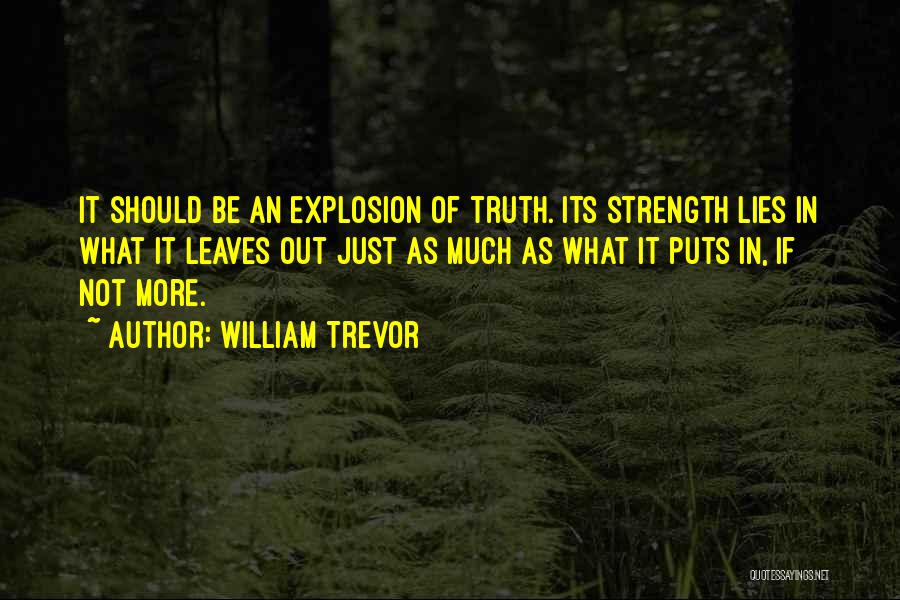 William Trevor Quotes 1715436