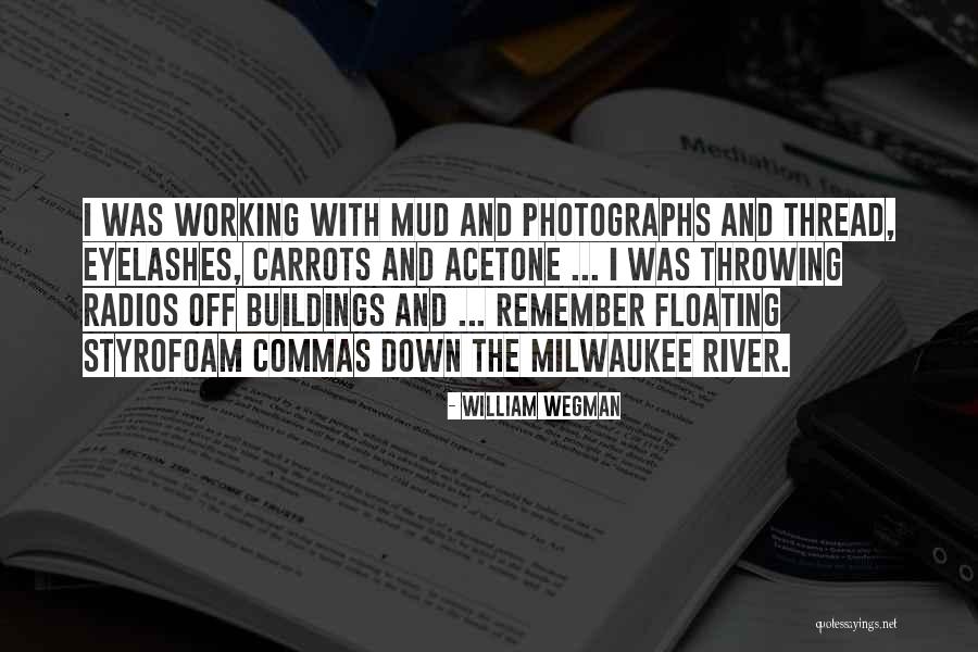 William Wegman Quotes 1223948 William Wegman Quotes 1223948