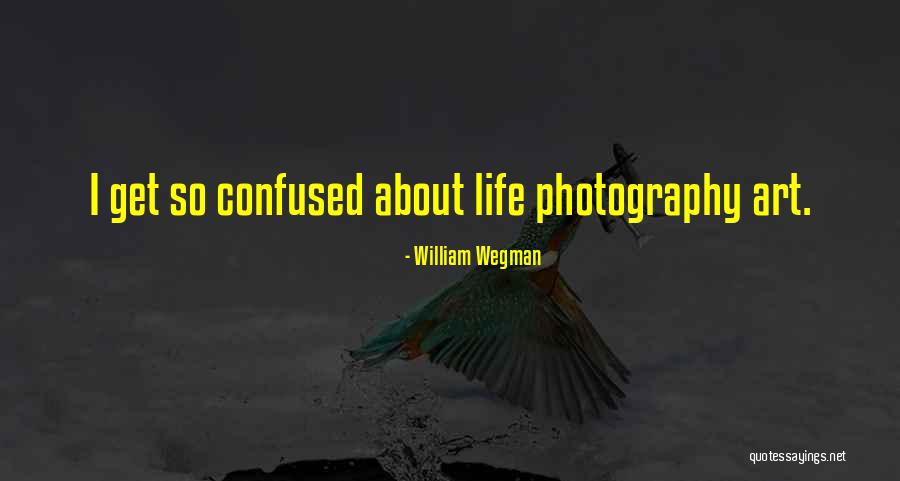 William Wegman Quotes 680355 William Wegman Quotes 680355