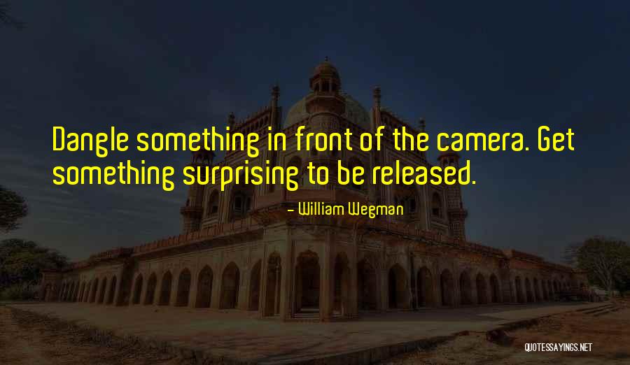 William Wegman Quotes 838219