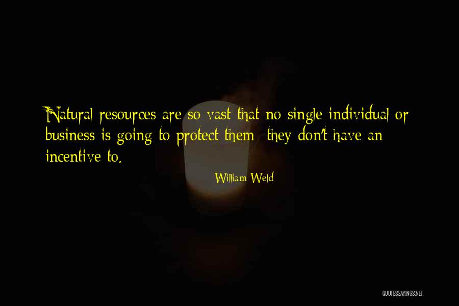 William Weld Quotes 1480064