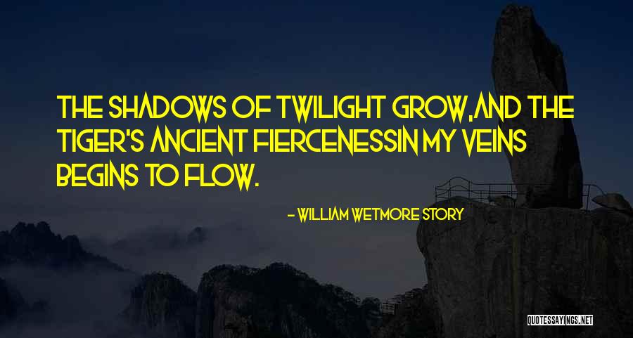 William Wetmore Story Quotes 1808410