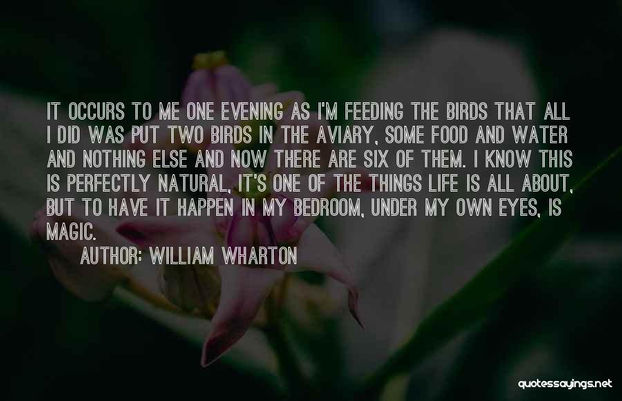 William Wharton Quotes 1036540