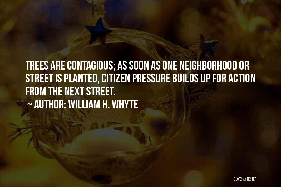 William Whyte Quotes By William H. Whyte