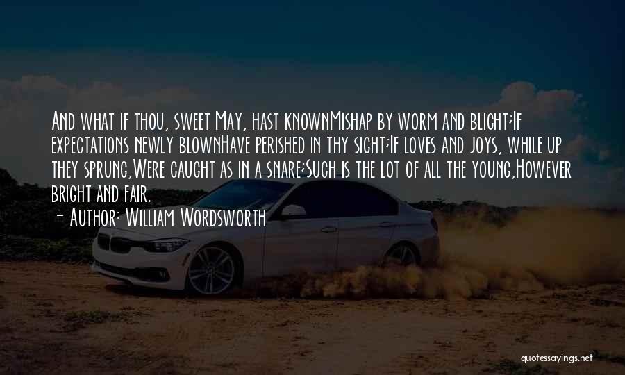 William Wordsworth Quotes 564520