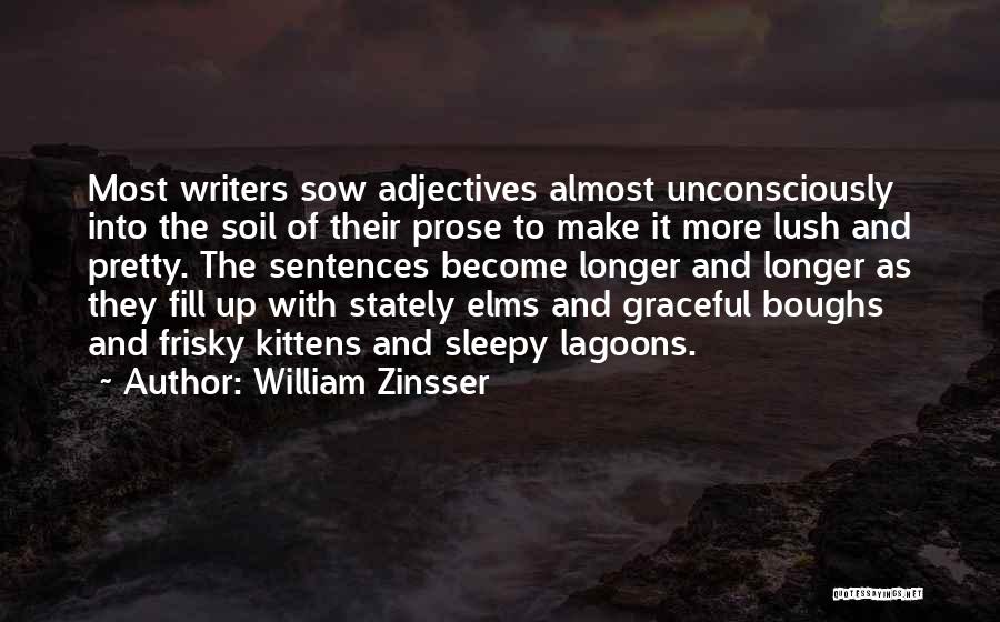 William Zinsser Quotes 579353