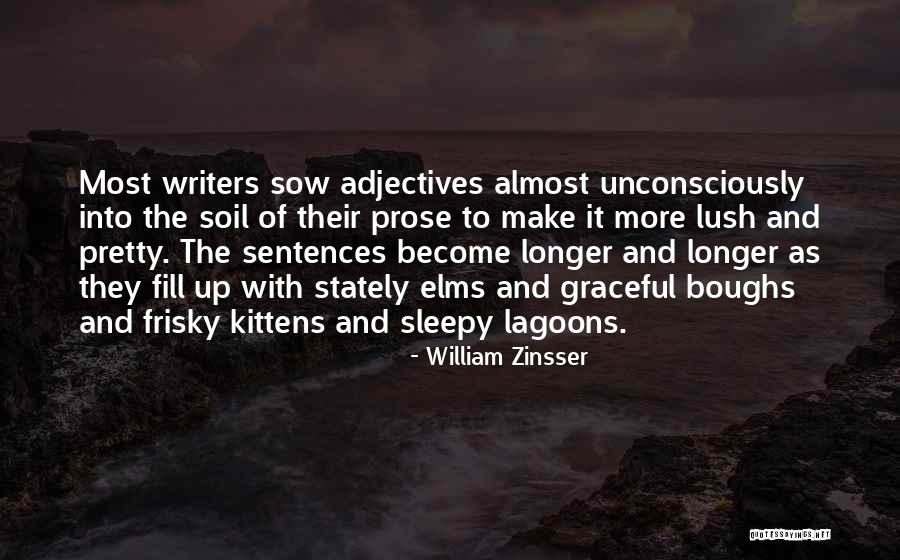 William Zinsser Quotes 579353