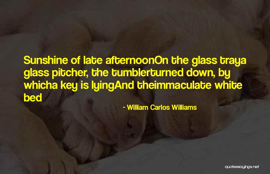 Williams Carlos Williams Quotes By William Carlos Williams Williams Carlos Williams Quotes By William Carlos Williams