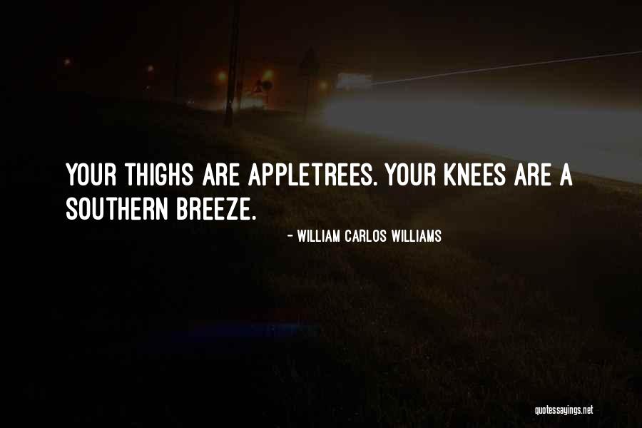 Williams Carlos Williams Quotes By William Carlos Williams Williams Carlos Williams Quotes By William Carlos Williams