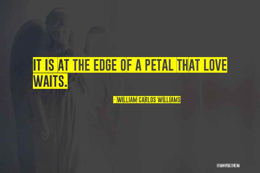 Williams Carlos Williams Quotes By William Carlos Williams Williams Carlos Williams Quotes By William Carlos Williams