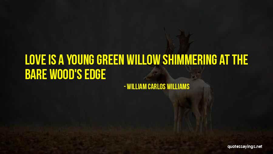 Williams Carlos Williams Quotes By William Carlos Williams Williams Carlos Williams Quotes By William Carlos Williams