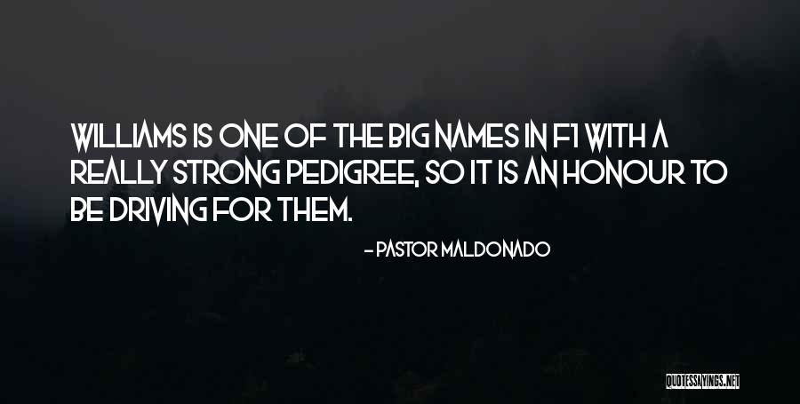Williams F1 Quotes By Pastor Maldonado Williams F1 Quotes By Pastor Maldonado