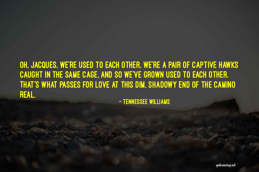 Williams Tennessee Quotes By Tennessee Williams