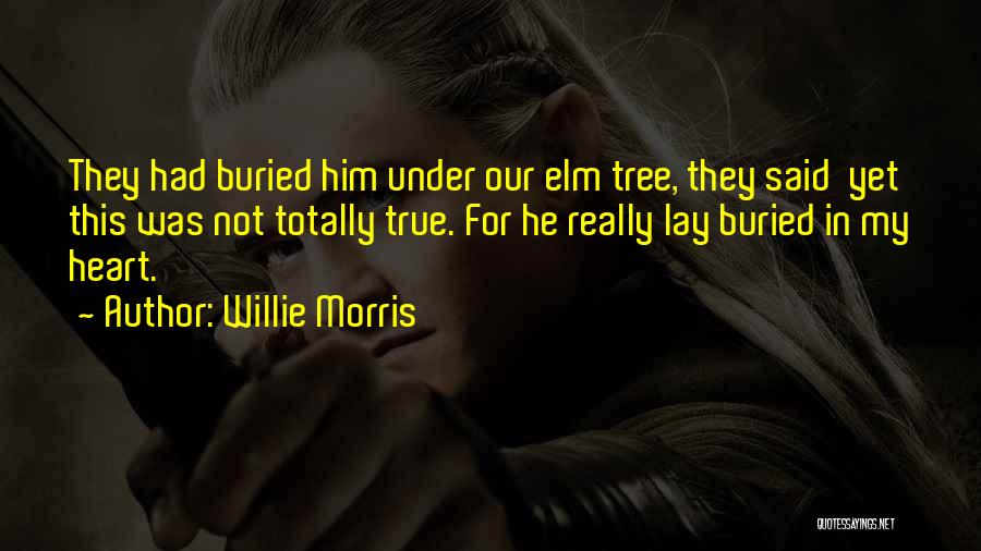 Willie Morris Quotes 1135460