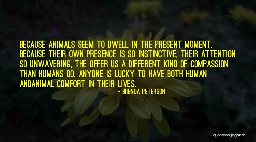Willikers Restaurant Quotes By Brenda Peterson Willikers Restaurant Quotes By Brenda Peterson