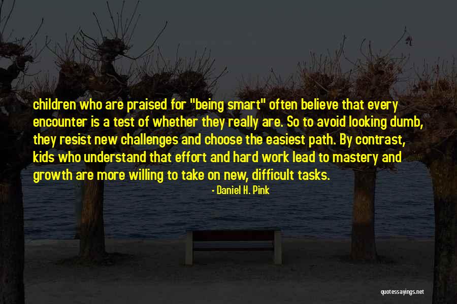 Willing To Work Hard Quotes By Daniel H. Pink