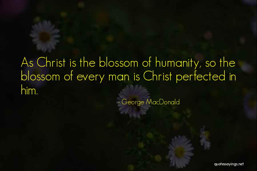 Willinghams Bbq Quotes By George MacDonald Willinghams Bbq Quotes By George MacDonald
