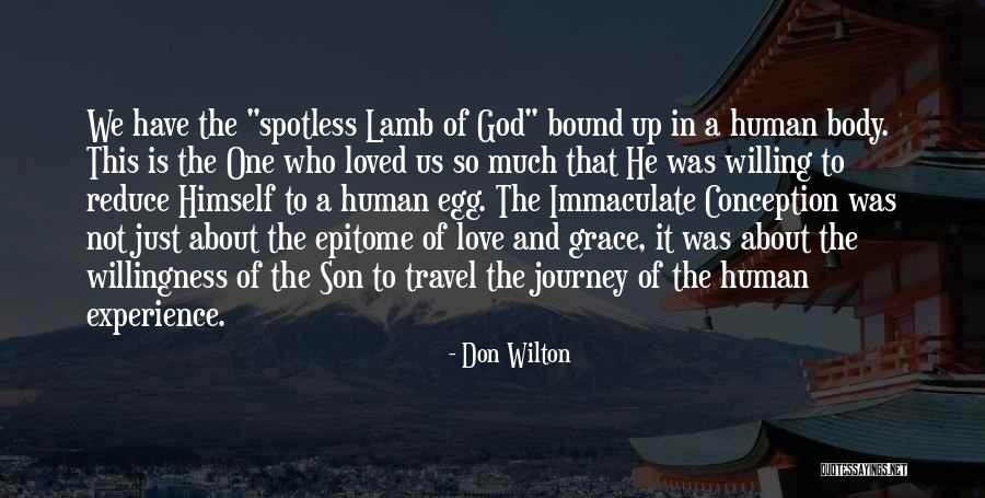 Willingness Love Quotes By Don Wilton