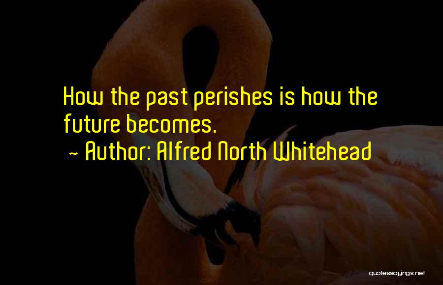 Willingnesse Quotes By Alfred North Whitehead