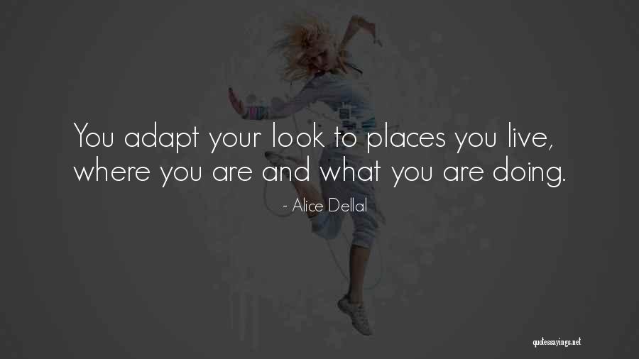 Willmes Law Quotes By Alice Dellal Willmes Law Quotes By Alice Dellal