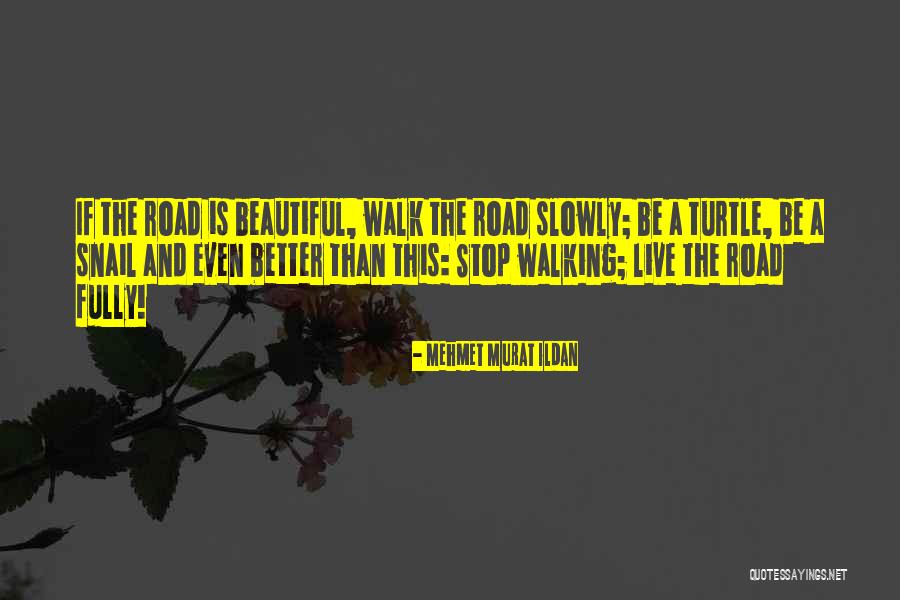 Willner Properties Quotes By Mehmet Murat Ildan Willner Properties Quotes By Mehmet Murat Ildan