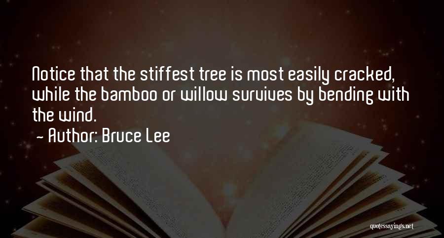 Willow Tree Quotes By Bruce Lee