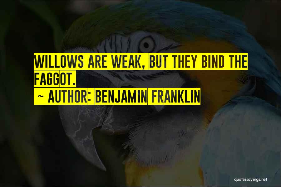 Willows Quotes By Benjamin Franklin