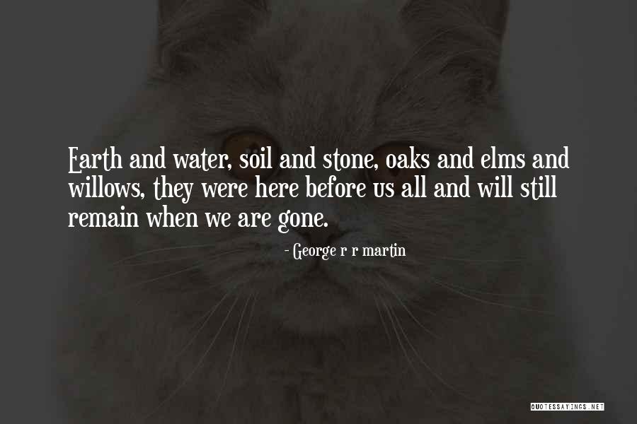 Willows Quotes By George R R Martin