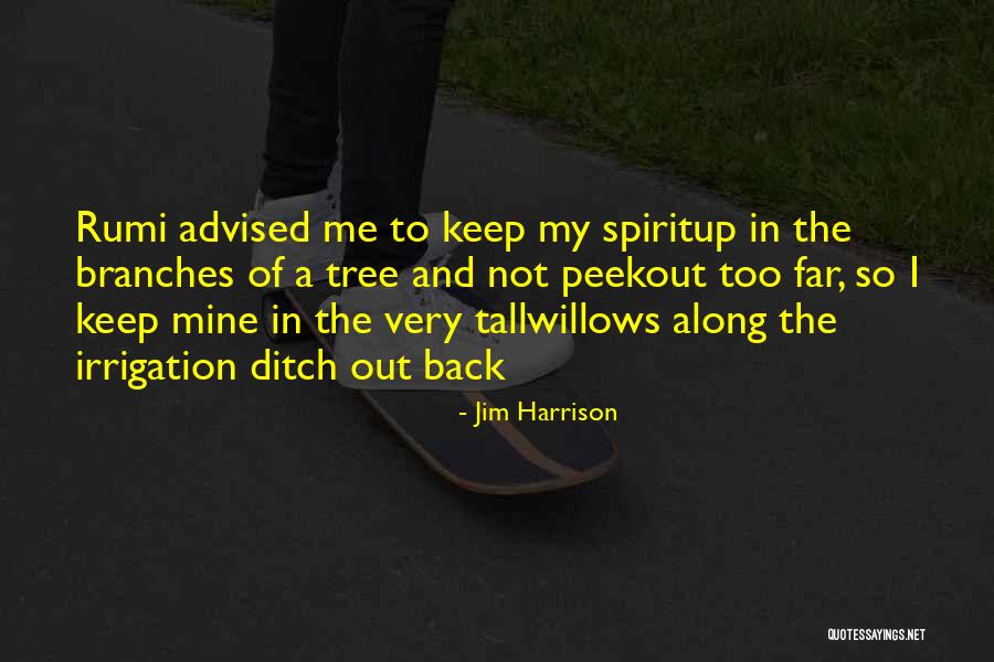 Willows Quotes By Jim Harrison