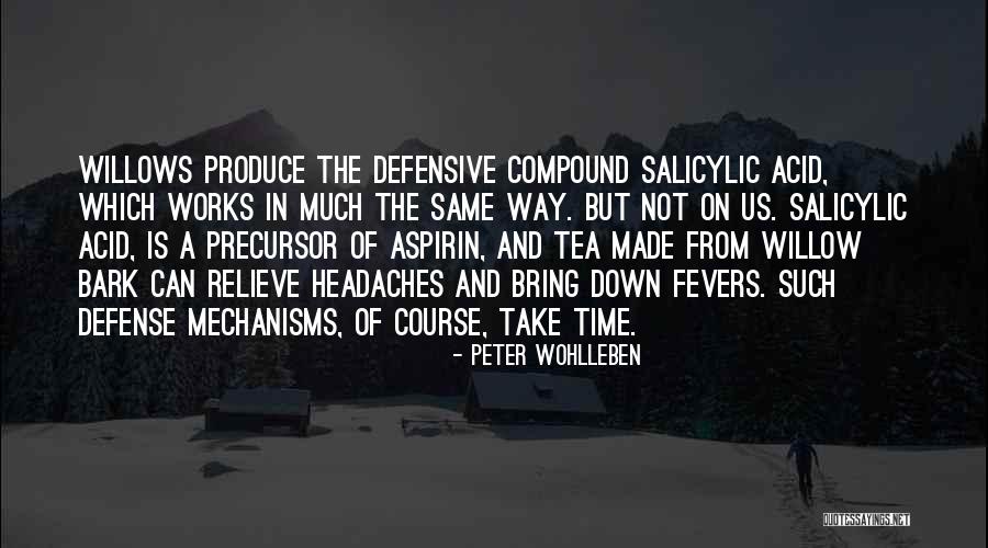 Willows Quotes By Peter Wohlleben