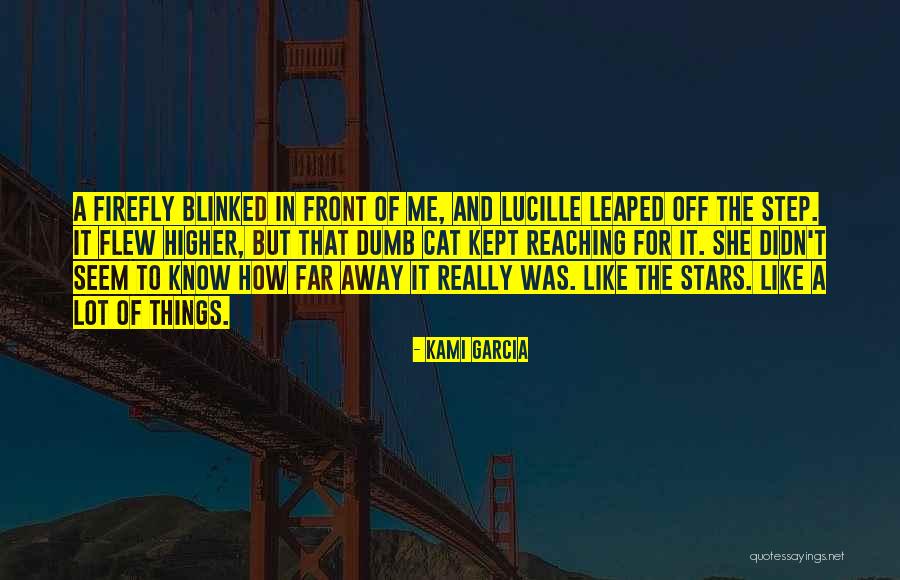 Willowy Figure Quotes By Kami Garcia Willowy Figure Quotes By Kami Garcia