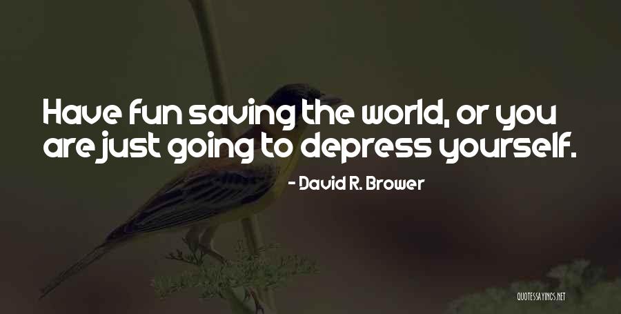 Willtown Quotes By David R. Brower Willtown Quotes By David R. Brower