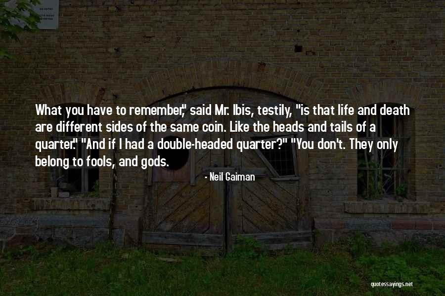 Willump Temtem Quotes By Neil Gaiman Willump Temtem Quotes By Neil Gaiman