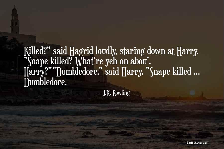 Willwerth Quotes By J.K. Rowling Willwerth Quotes By J.K. Rowling