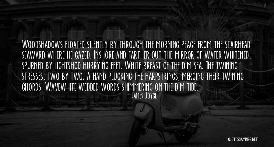 Willy Adames Quotes By James Joyce Willy Adames Quotes By James Joyce