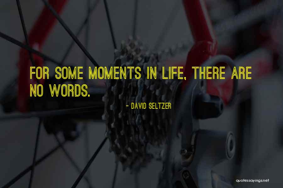 Willy Wonka Quotes By David Seltzer Willy Wonka Quotes By David Seltzer