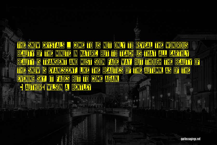 Wilson A. Bentley Quotes 573499 Wilson A. Bentley Quotes 573499