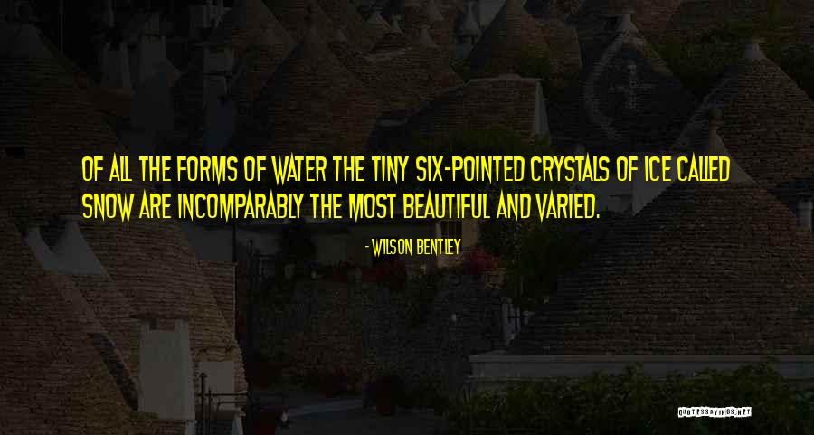 Wilson Bentley Quotes 1724702 Wilson Bentley Quotes 1724702