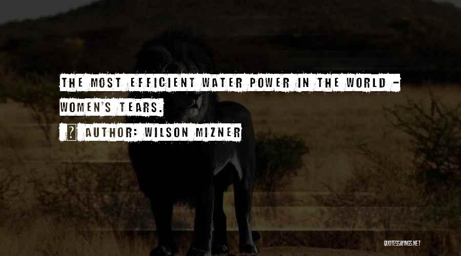 Wilson Mizner Quotes 119838