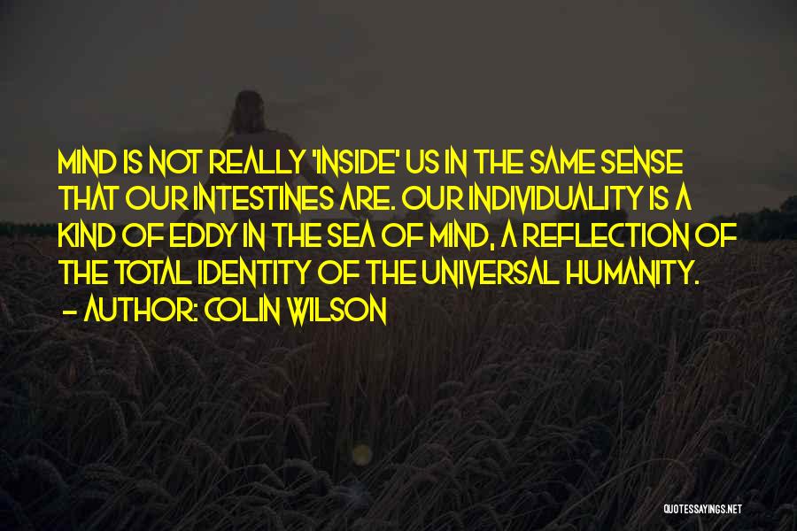 Wilson Quotes By Colin Wilson