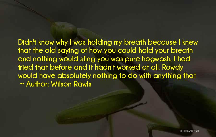 Wilson Rawls Quotes 1312266