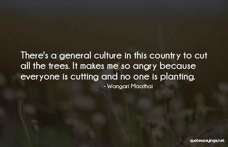 Wilsons Garage The Great Gatsby Quotes By Wangari Maathai Wilsons Garage The Great Gatsby Quotes By Wangari Maathai