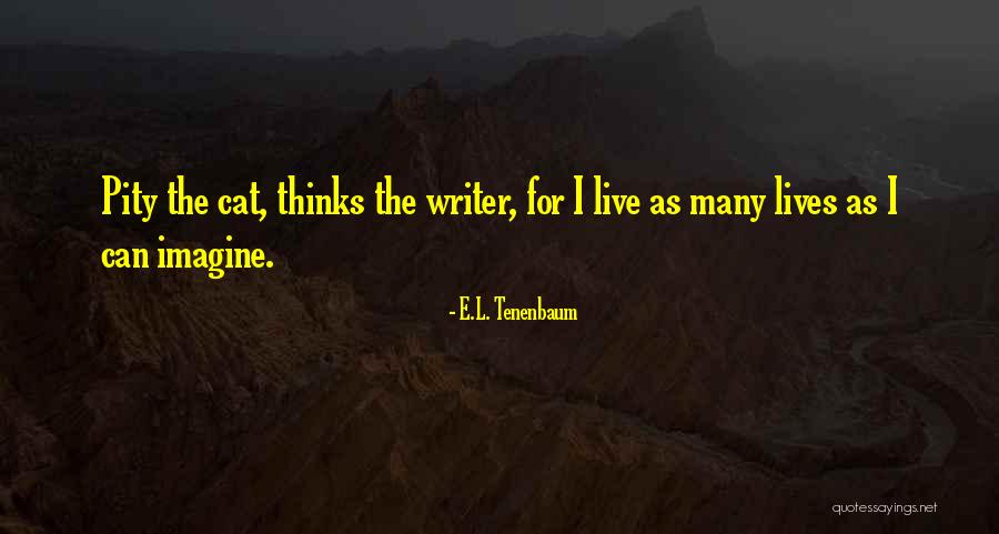 Wiltz Aviation Quotes By E.L. Tenenbaum Wiltz Aviation Quotes By E.L. Tenenbaum
