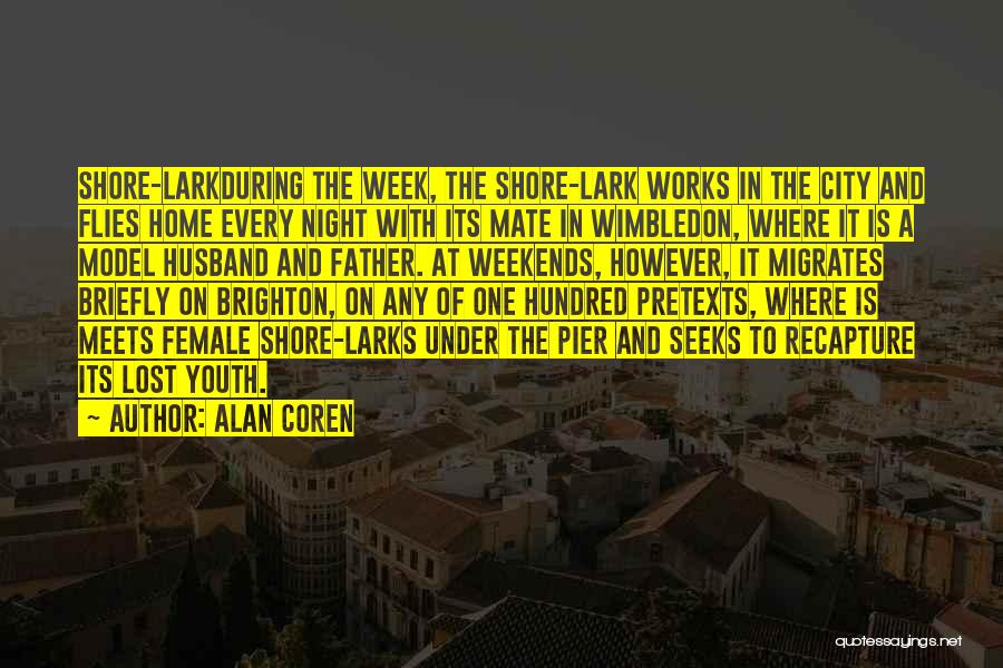 Wimbledon Quotes By Alan Coren