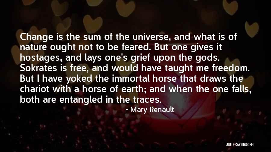 Wimpiest Kid Quotes By Mary Renault Wimpiest Kid Quotes By Mary Renault